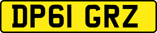 DP61GRZ
