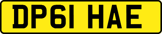 DP61HAE