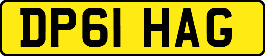 DP61HAG