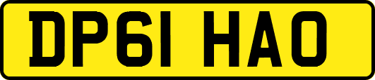 DP61HAO