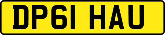 DP61HAU