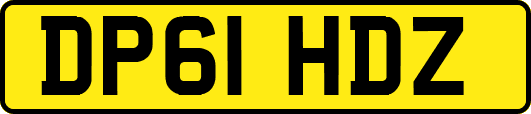 DP61HDZ