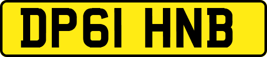 DP61HNB
