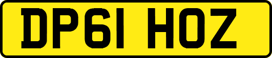 DP61HOZ