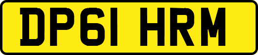 DP61HRM