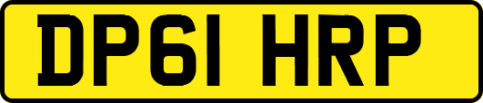 DP61HRP