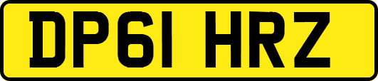 DP61HRZ