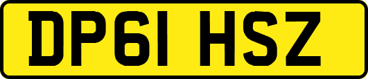 DP61HSZ