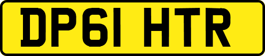 DP61HTR