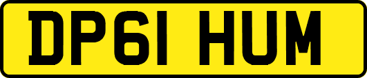 DP61HUM