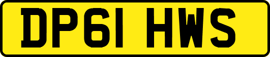 DP61HWS