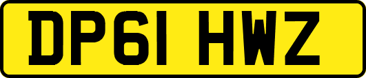 DP61HWZ