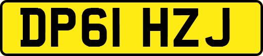 DP61HZJ
