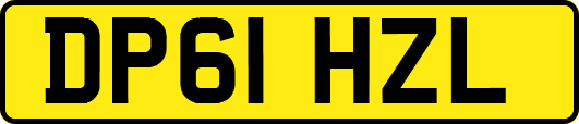 DP61HZL