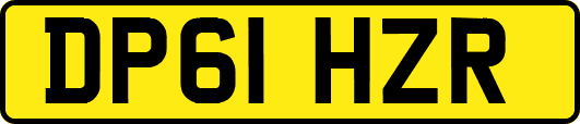 DP61HZR