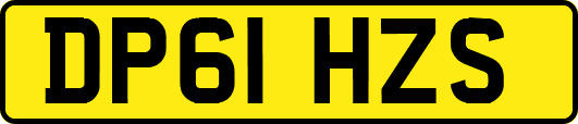 DP61HZS