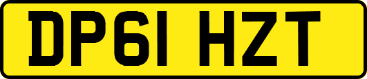 DP61HZT
