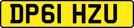 DP61HZU