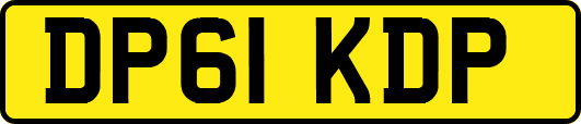 DP61KDP