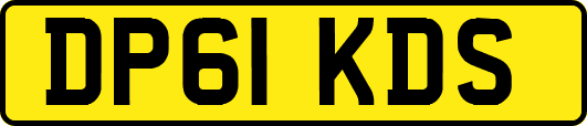 DP61KDS