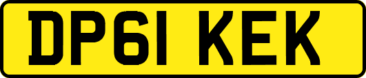 DP61KEK