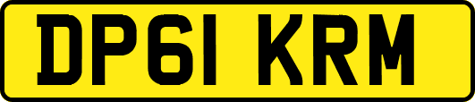 DP61KRM