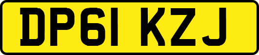 DP61KZJ