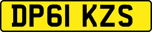 DP61KZS