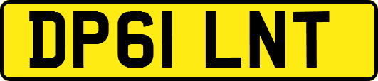 DP61LNT