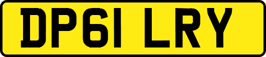 DP61LRY