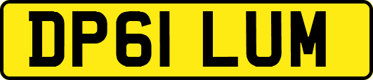 DP61LUM