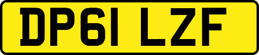 DP61LZF