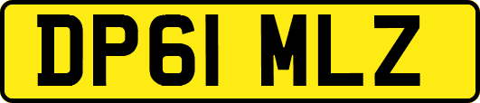 DP61MLZ