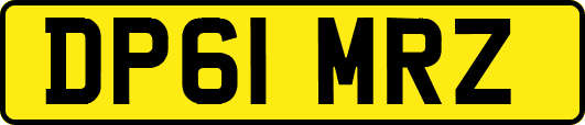 DP61MRZ