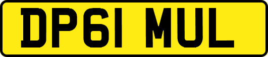 DP61MUL