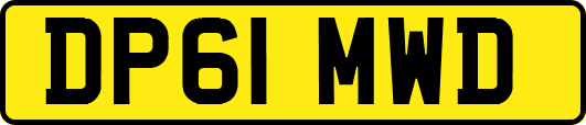 DP61MWD