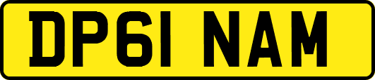 DP61NAM