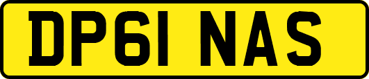 DP61NAS