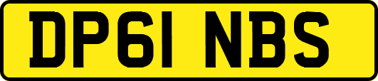 DP61NBS