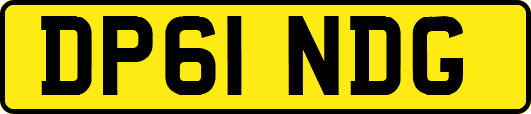 DP61NDG