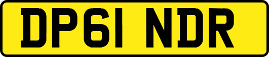 DP61NDR