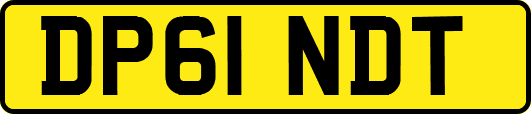DP61NDT