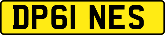 DP61NES