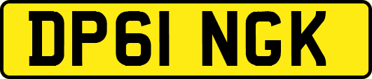 DP61NGK