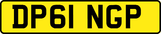 DP61NGP