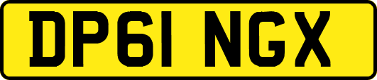DP61NGX