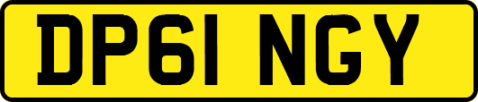 DP61NGY