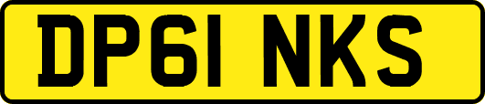 DP61NKS