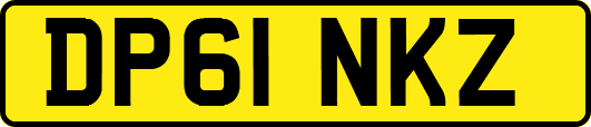 DP61NKZ