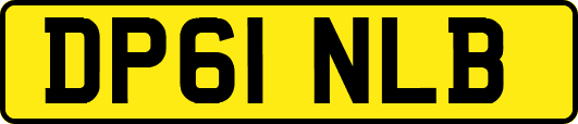 DP61NLB